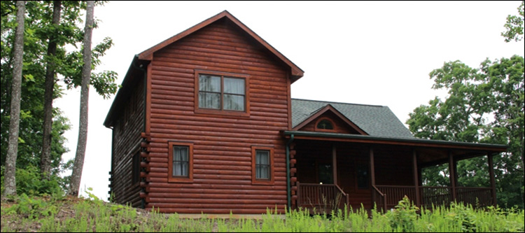 Professional Log Home Borate Application  Brookside, Alabama